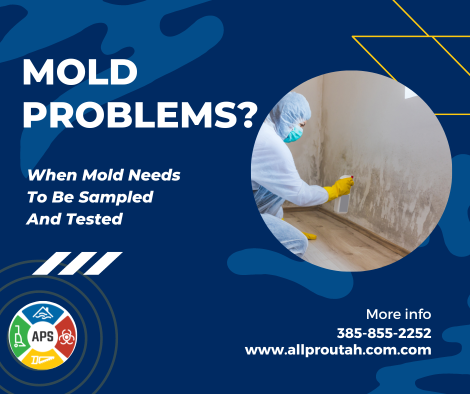 How to Know When to Test for Mold in Your Home or Business